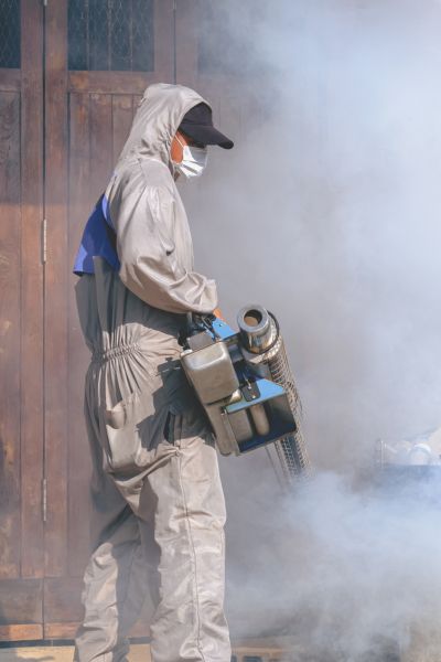 Zamgławianie przeciwko komarom i kleszczom