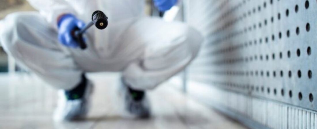 Przygotowanie do zwalczania gryzków