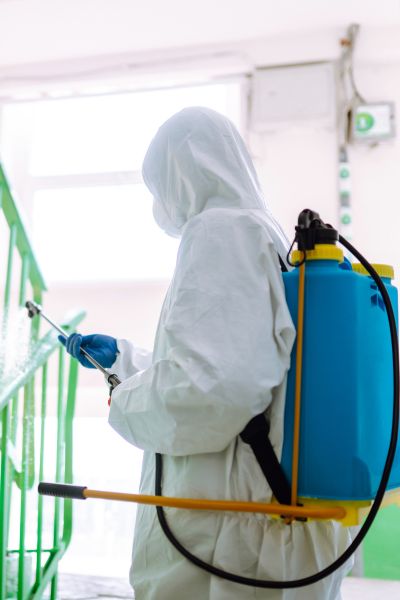 Certyfikat dezynsekcja